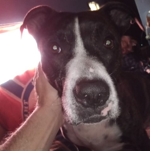 Meet your Posher, Robert - Picture 1 of 1